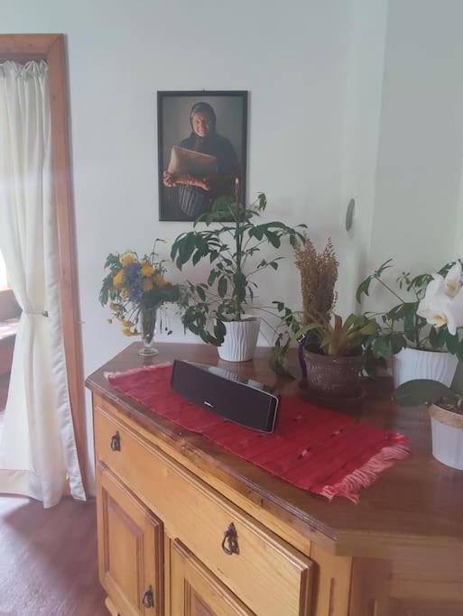 Cemerno Cottage Gacko Esterno foto