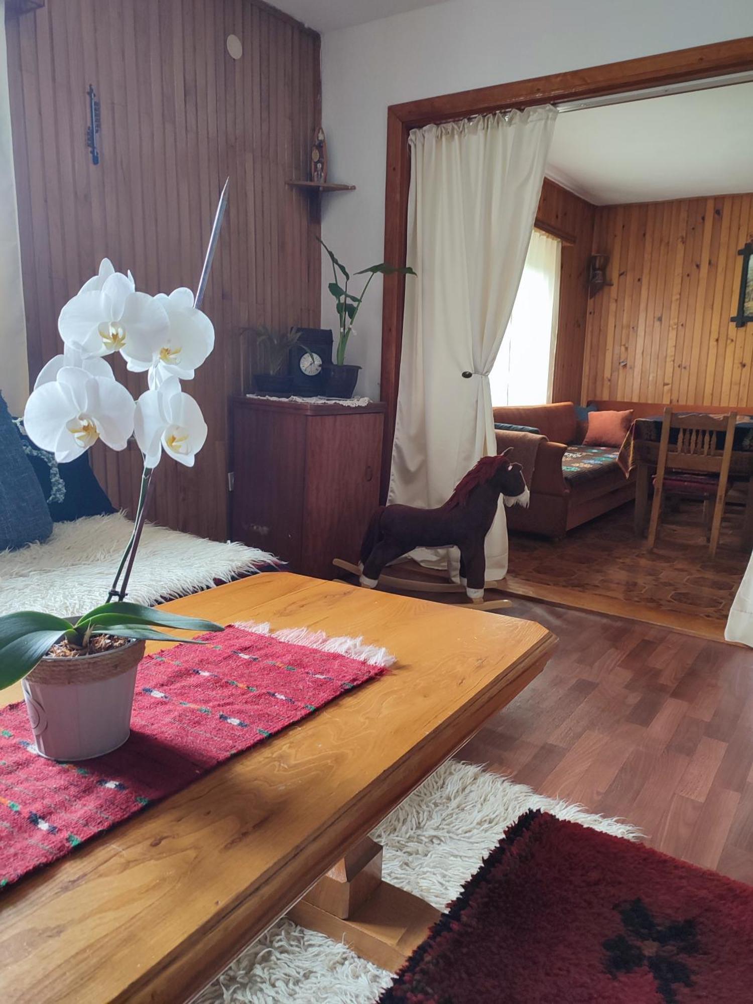 Cemerno Cottage Gacko Esterno foto